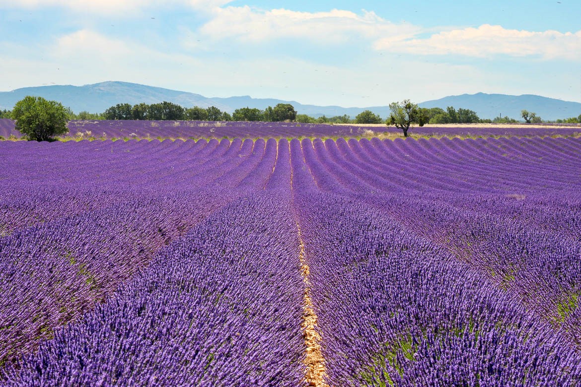 Provence