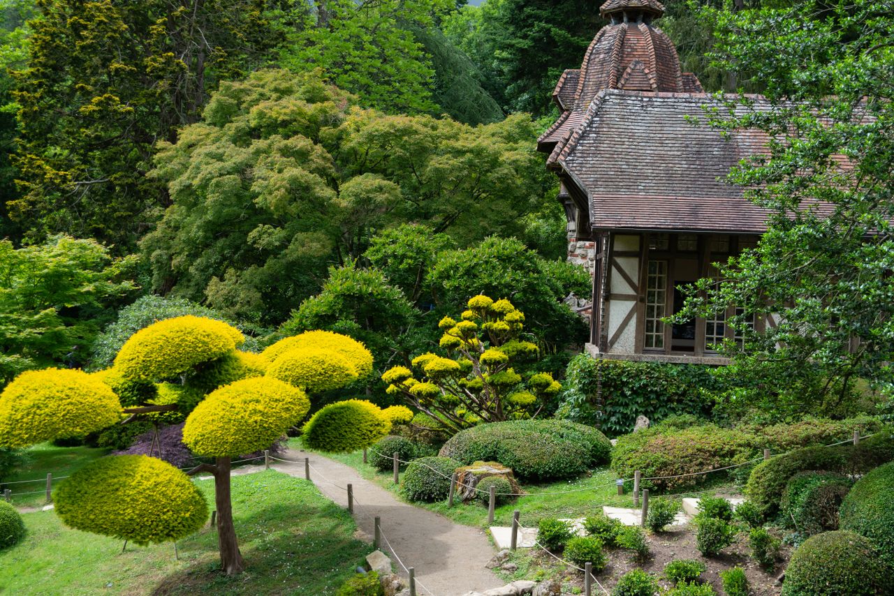 Serene Japanese garden scene with lush greenery and traditional building.